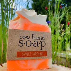 Orange & Clove Soap | Organic Handmade Body Soap | Nourishing Hand Soap