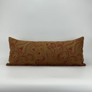 Academia Paisley Lumbar Pillow Cover