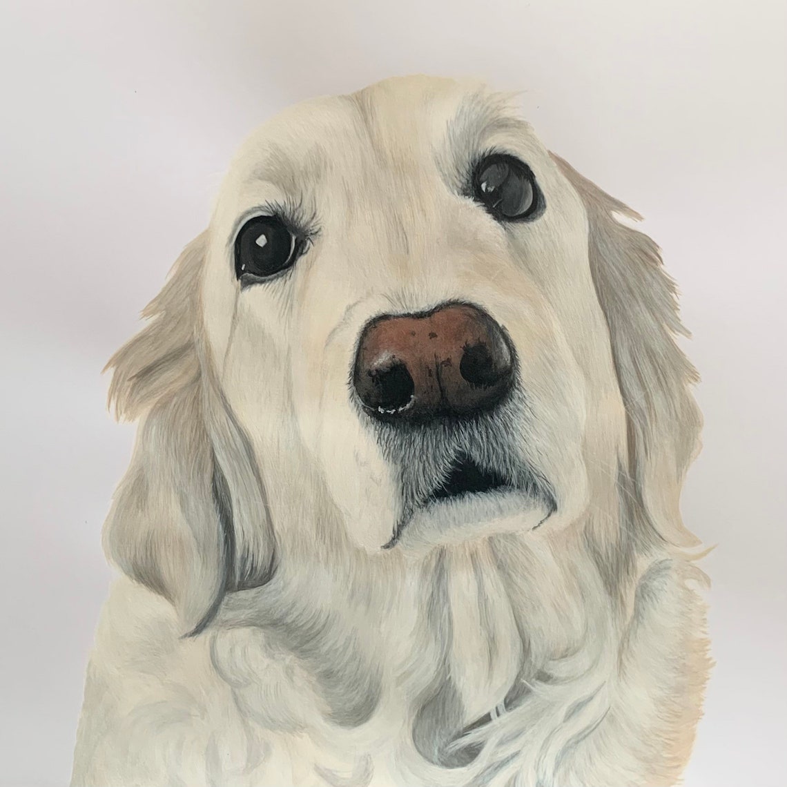 Hand painted acrylic pet portrait Etsy