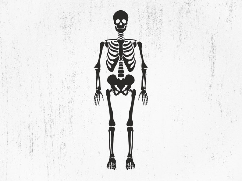 Skeleton SVG Skeleton Parts Svg Skeleton Png Skeleton Cut | Etsy