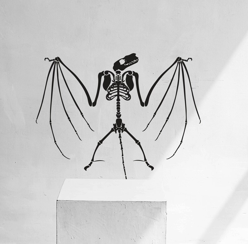 Bat Skeleton With Wings SVG Bat Skeleton Png Skeleton Cut - Etsy