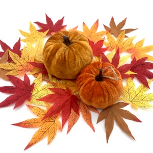 May include: Two velvet pumpkins in orange and brown hues are nestled amongst a bed of colorful fall leaves. The leaves are in shades of red, orange, yellow, and brown.