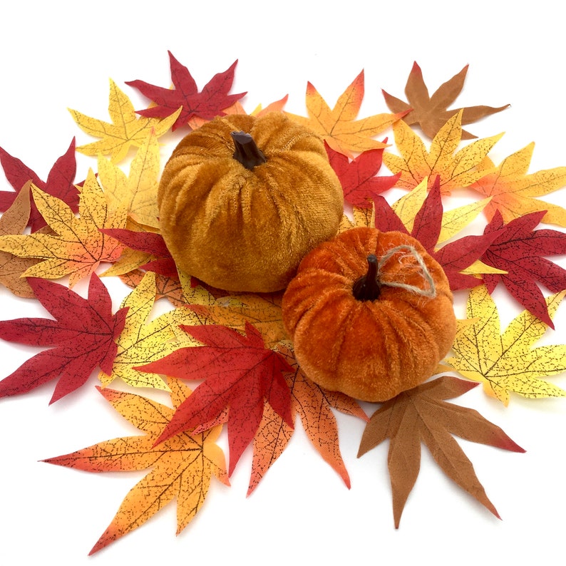 May include: Two velvet pumpkins in orange and brown hues are nestled amongst a bed of colorful fall leaves. The leaves are in shades of red, orange, yellow, and brown.