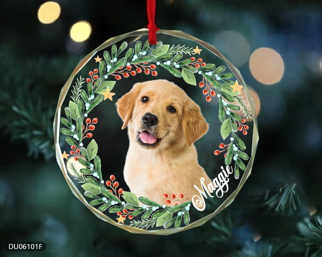 Pet Photo Albums Pet Photo Presents Pet Photoshoot Gift Experience