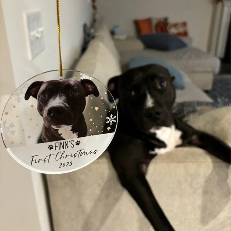 May include: A clear, round Christmas ornament featuring a photo of a black and white dog. The ornament has gold accents, snowflakes, and the text "Finn's First Christmas 2023". A black and white dog is in the background.