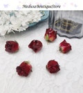 2pcs Real Rose Flower Charms, Resin Rosebud Flower Pendant, DIY Bracelet Necklace Earring Jewelry Findings Craft Handmade