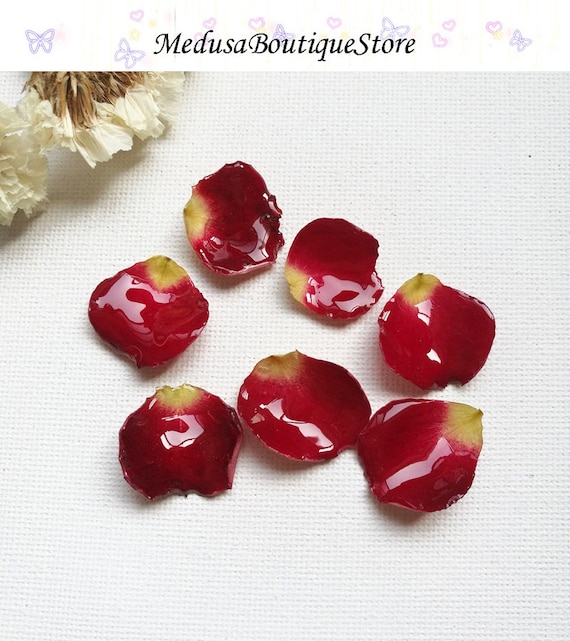 2pcs Real Rose Petal Flower Charms Resin Flower Petal Pendant