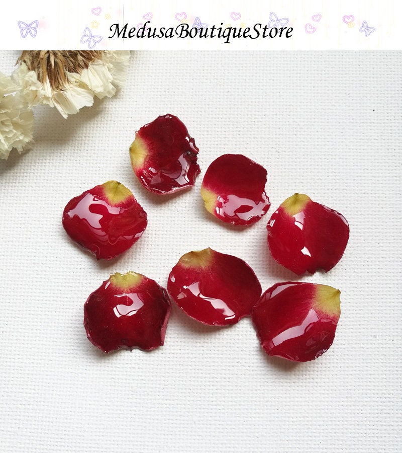 Real Dried Red Rose Petals and Gold Leaf Coasters/housewarming/unique  Gift/wedding Gift 