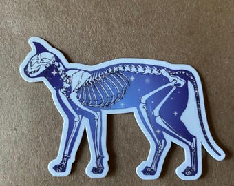 May include: A sticker of a cat skeleton with a starry night sky background. The cat is in a walking pose with its head turned to the side. The sticker is printed on white vinyl.