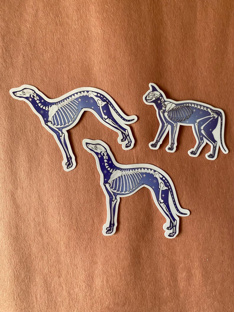 Dog Skeleton Sticker | Galaxy Dog Skeleton Sticker | Orthopedic Dog ...