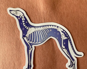 autocollant squelette de chien | Sticker squelette chien galaxie | Sticker orthopédique pour chien | Médecine vétérinaire