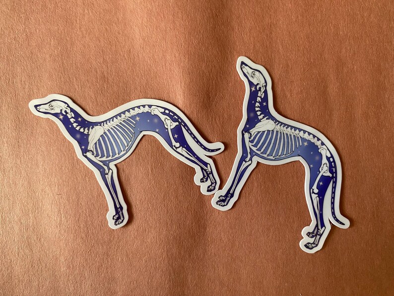 Dog Skeleton Sticker | Galaxy Dog Skeleton Sticker | Orthopedic Dog ...