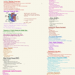 MEDSURG NOTES PLUS DE 75 pages réussissent l'école d'infirmières avec un jeu d'enfant !!!!