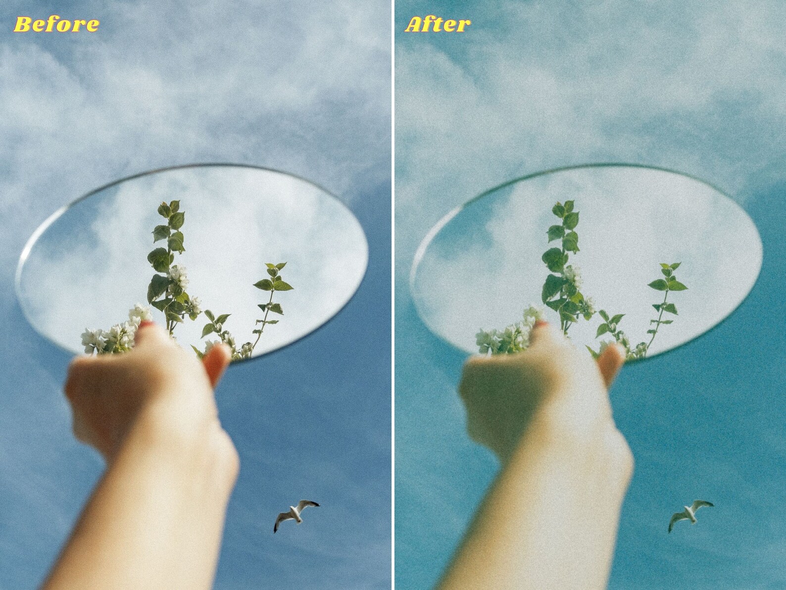 Analog Camera Lightroom Presets Film Presets for Mobile and Etsy