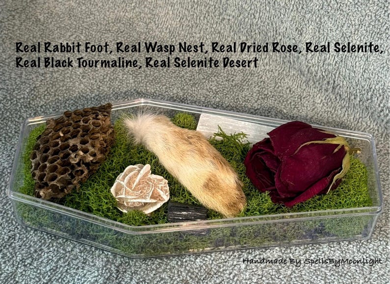 Rabbit Foot Art Coffin Art Goth Decor Witchy Gift Curiosity Cabinet - Etsy
