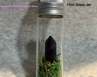 Amethyst Crystal Point Terrarium Crystal In A Jar Protection Jar