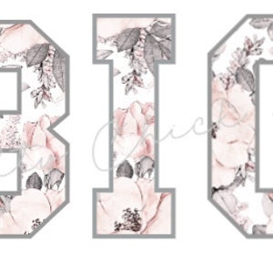 Rosa und Grau Floral Print Varsity Style Sport Buchstaben und Zahlen PNG Design Datei Bundle für Sublimation, Sticker & Mehr