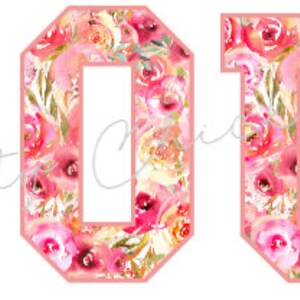 Pink Roses Floral Print Varsity Style Sport Letters and Numbers PNG Design File Bundle for Sublimation, Stickers & More
