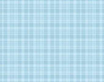 Winnie the Pooh by Echo Park Paper Co. for Riley Blake Designs C17005-BLUE PLAID