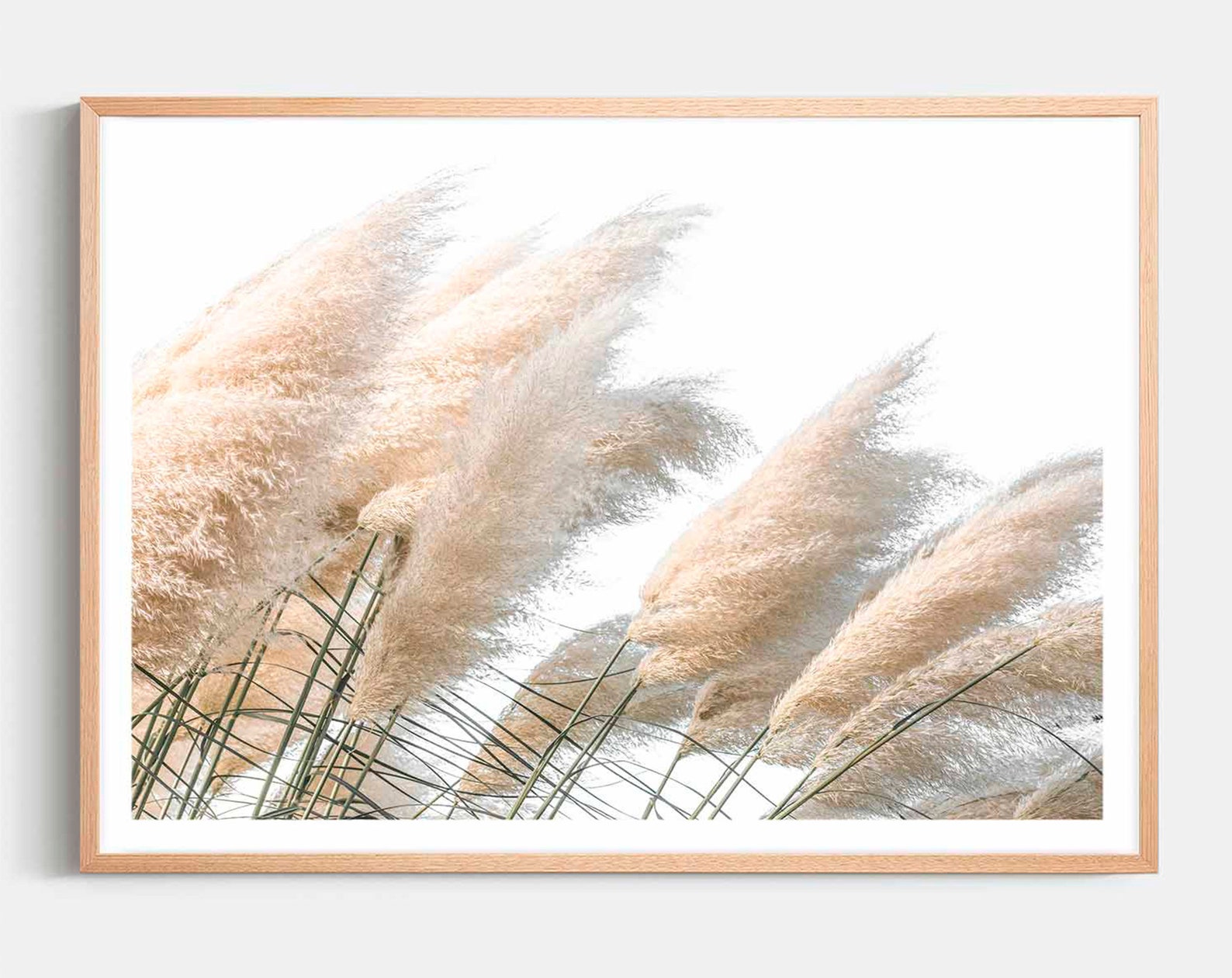 Pampas Grass Framed Wall Art Nature Photography Pampas Etsy