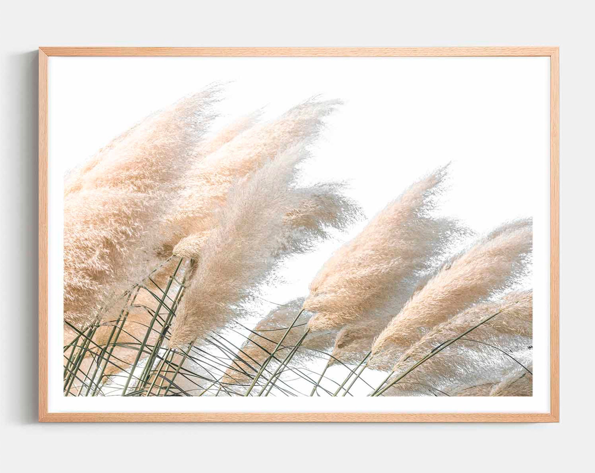 Pampas Grass Framed Wall Art Nature Photography Pampas Etsy Australia