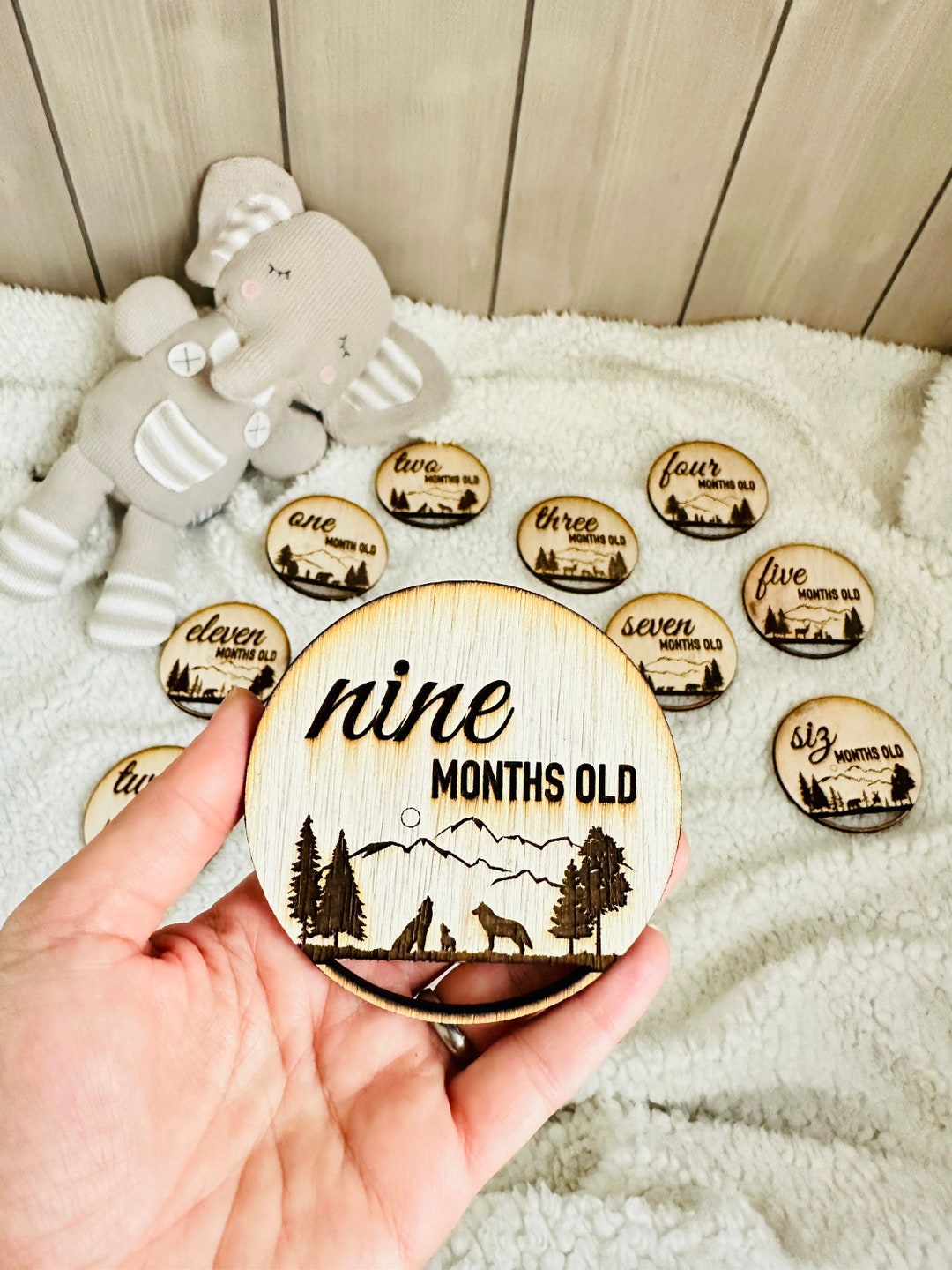 Wooden Monthly Milestone Markers for Baby Photos, Themed Milestone Disc ...