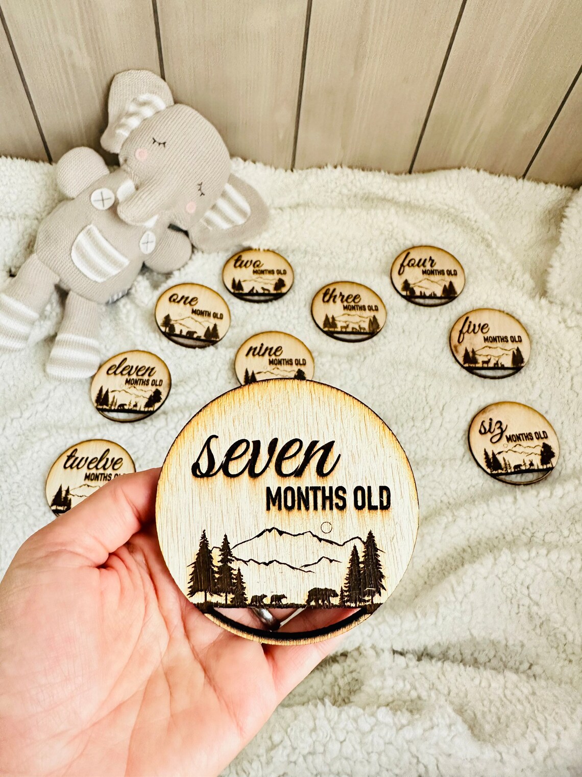 Wooden Monthly Milestone Markers for Baby Photos, Themed Milestone Disc ...