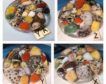 You choose your favorite coasters! Michigan Petoskey Stone Puddingstone Lake Huron Rocks Stone Resin Coaster
