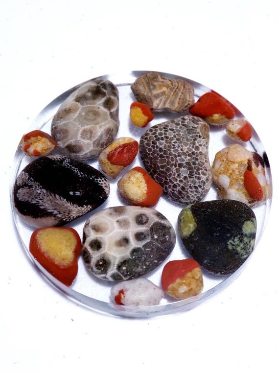 Michigan Petoskey Stone Puddingstone Lake Huron Rocks Stone Etsy