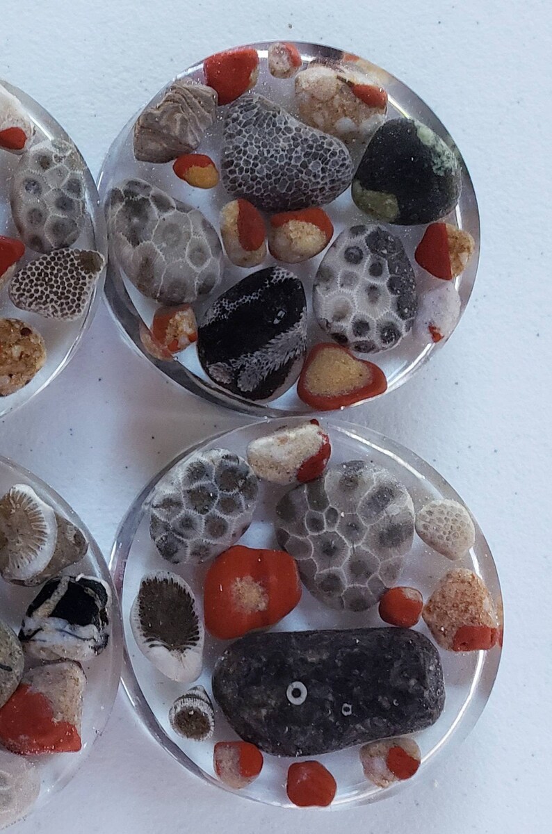 Michigan Petoskey Stone Puddingstone Lake Huron Rocks Coaster Etsy