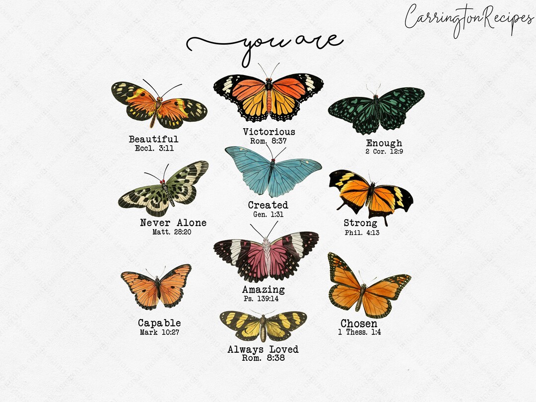 Butterfly Bible Verse Png You Are Inspiration Bible Png Etsy