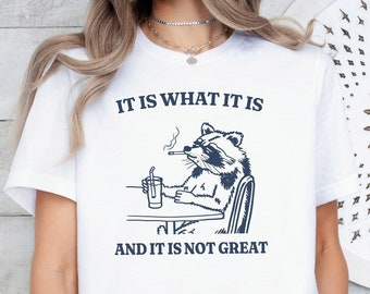 It Is What It Is And It Is Not Great Shirt,  Raccoon Meme Shirt, Funny Vintage Drawing T-Shirt, Mood Gifts,  Funny Trash Panda T Shirt