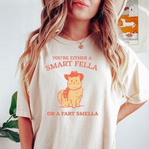 Are You A Smart Fella Or Fart Smella? Comfort Colors Retro Cartoon T Shirt, Weird T Shirt, Meme T Shirt, Trash Panda T Shirt, Unisex
