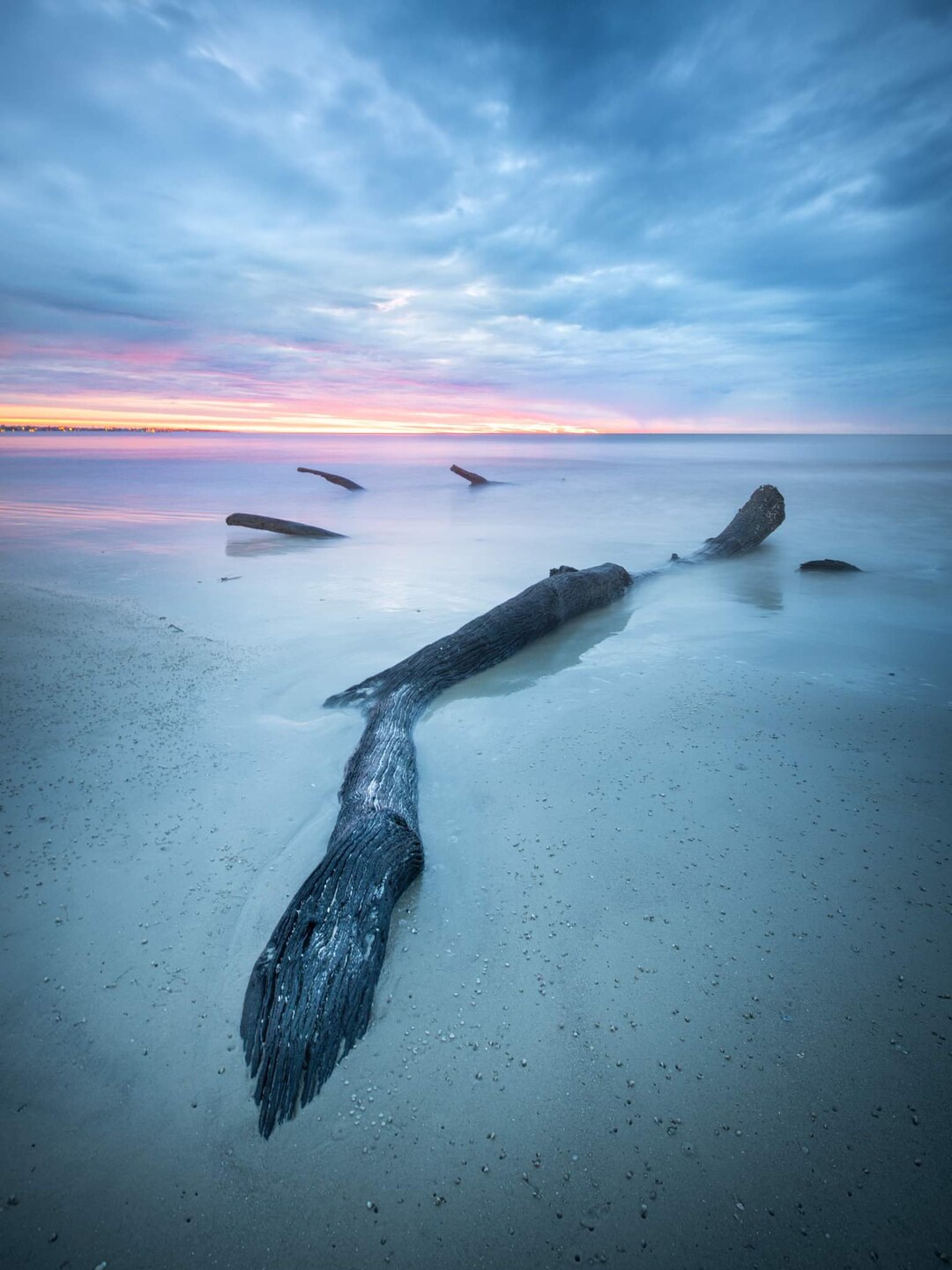 Driftwood Beach Jekyll Island, Beach Photography, Sunrise Photography