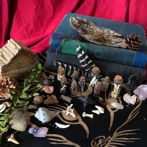Miniature Natural Curiosities Mystery Box / Mini Curio Collection / Vulture Culture / Goblincore / Nature Oddities / Naturalist Decor Gift