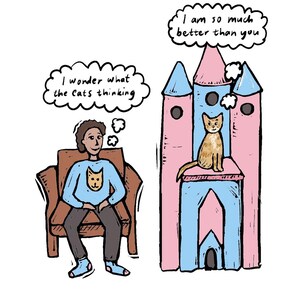 Carte drôle de chat