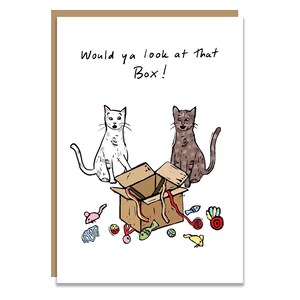 Carte drôle de chat