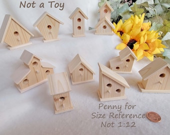 Unfinished Small Cedar Birdhouses, Multiple Styles, 1pc,  for Adult Collectors