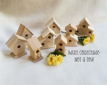 Unfinished Small Cedar Birdhouses, Multiple Styles, 1pc, Adult Collectible - NOT a Toy!,   WBH104