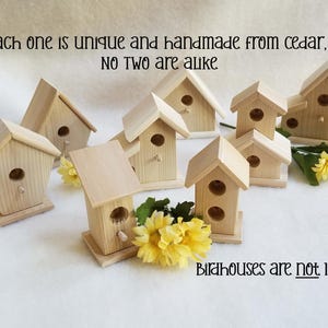 Unfinished Little Cedar Birdhouses, Multiple Styles, 1pc, WBH104