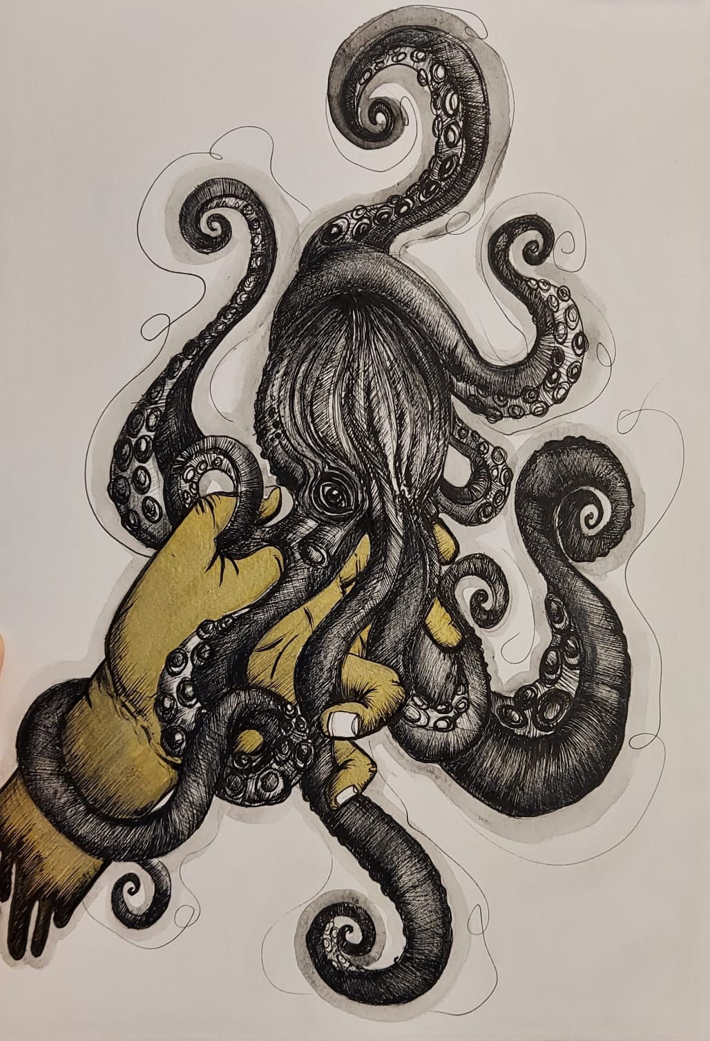 Octopus Original A4 Pen and Ink Drawing Black and Etsy