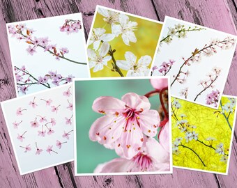 BLOSSOM Greeting Card Collection, 6 Different Blank Cards, Handmade from Original Photographs