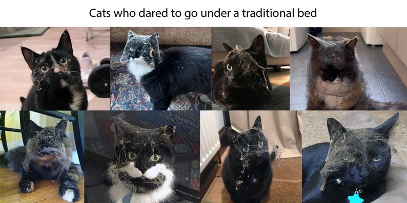 May include: A collage of eight cats with various fur colours including black, white, and tortoiseshell, each covered in cobwebs and dust after exploring under furniture. The text "Cats who dared to go under a traditional bed" appears at the top.