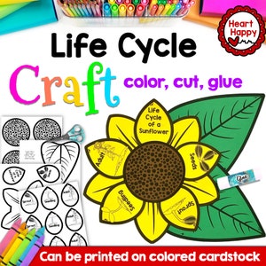 Sunflower Life Cycle Craft, Kids Printable Craft Template, Fall Craft, Science, Homeschool, Teachers Resources, Instant PDF Download