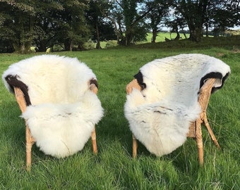 Luxury Genuine Sheepskin Rug - From Devon, UK