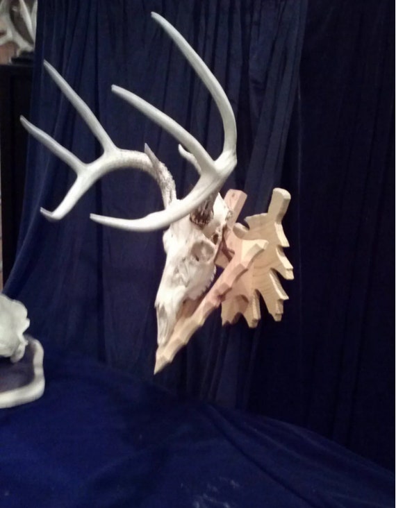 solid wood european skull plaque deer plaque arrow OHIO plaque skull mount 