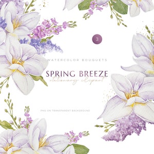 Clipart de lírio roxo em aquarela, buquê de lírio png, clipart floral de lírio, convite de casamento roxo, lírios em aquarela png, floral de primavera png