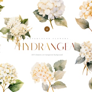 Aquarell weiße Hortensien Clipart, Hochzeit weiße Blumen png , weiße Hortensien png, Hortensie Hochzeit png, Hortensie png