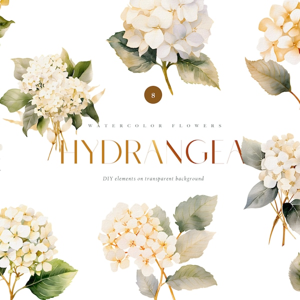 Watercolor white hydrangea clipart, wedding white flowers png, white hydrangeas png, hydrangea wedding invitation, hydrangea png