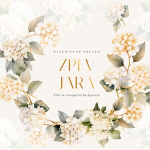 Watercolor white hydrangea wreath, wedding white flower frame png, white hydrangeas wreath png, hydrangea wedding invitation, hydrangea png